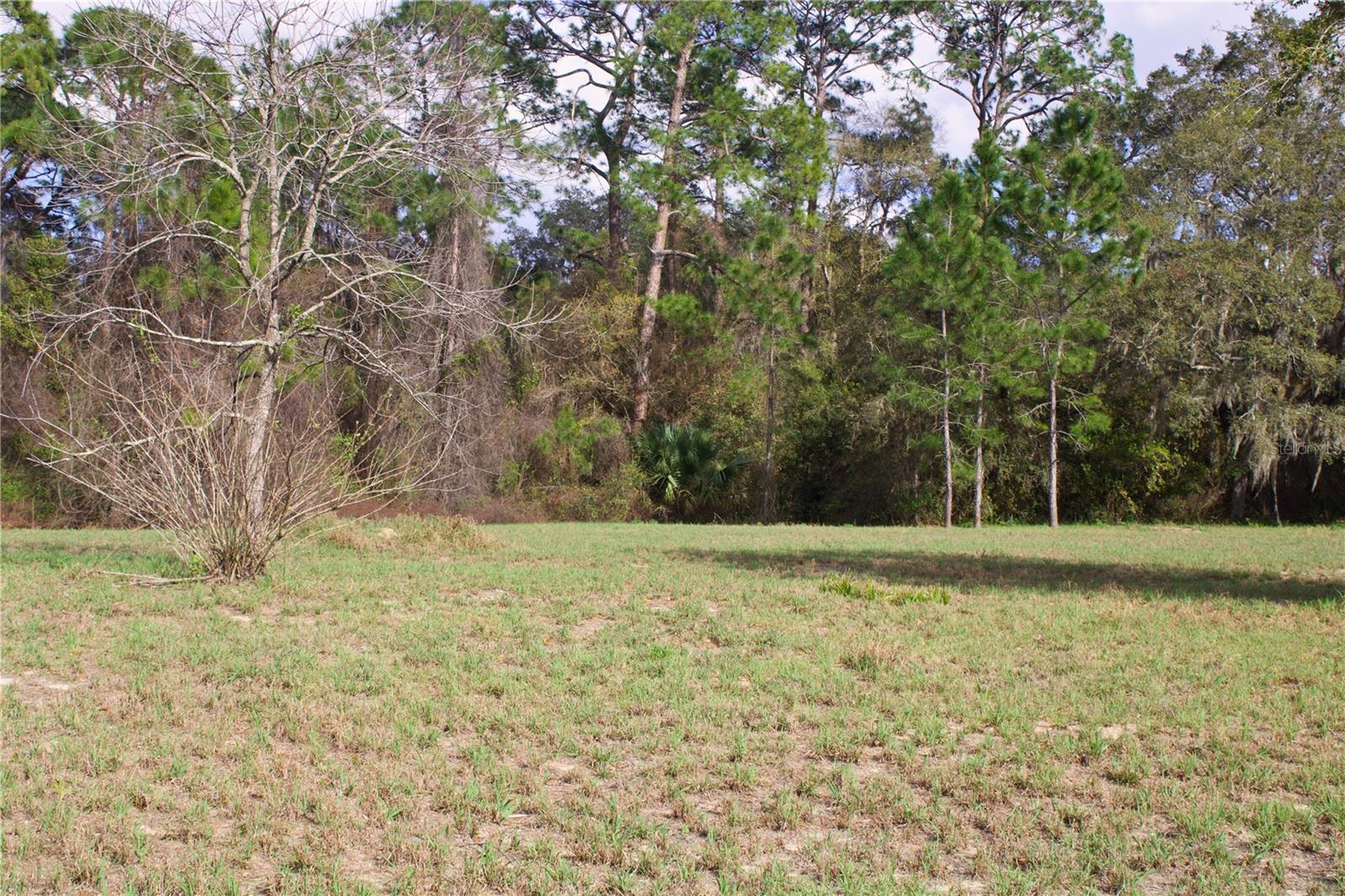 SILENT RIDGE DR #47, TAVARES, FL — photo 20