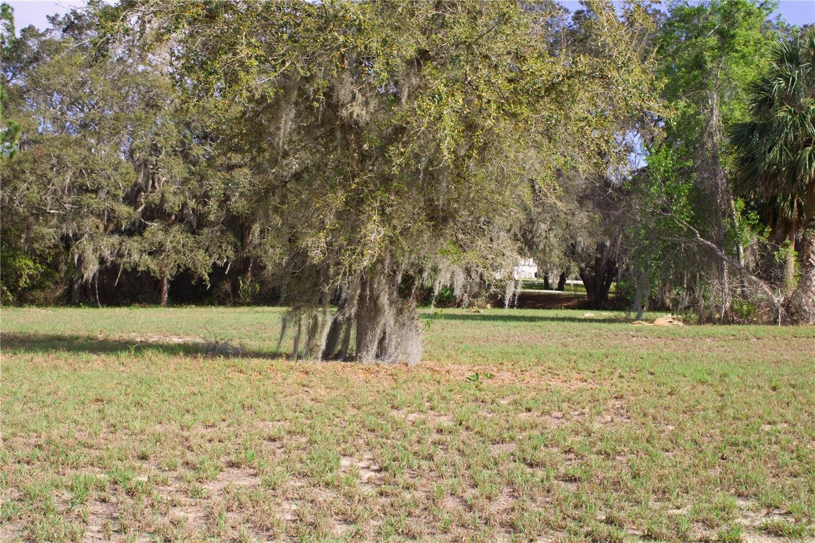 SILENT RIDGE DR #47, TAVARES, FL — photo 21