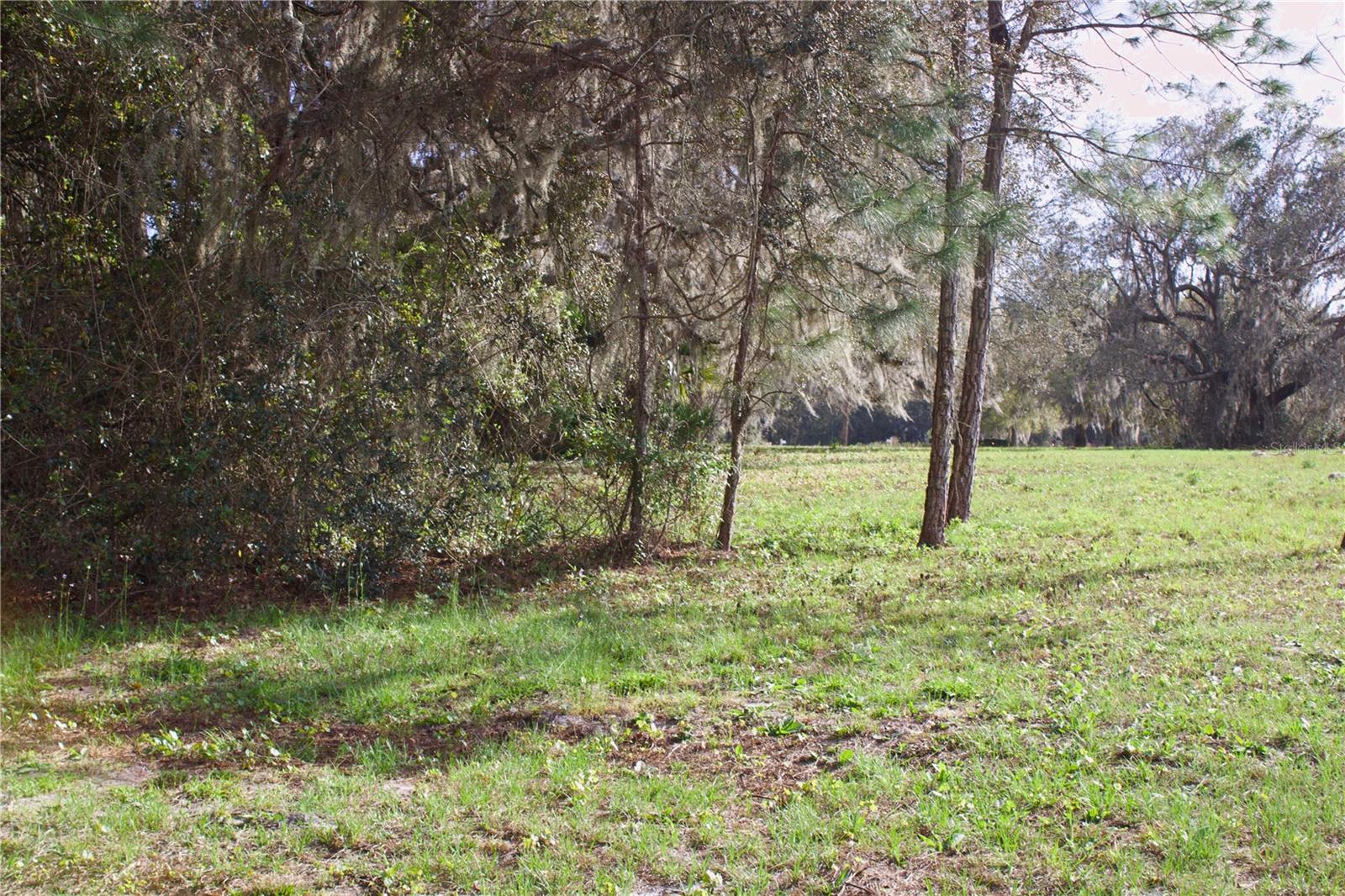 SILENT RIDGE DR #47, TAVARES, FL — photo 39