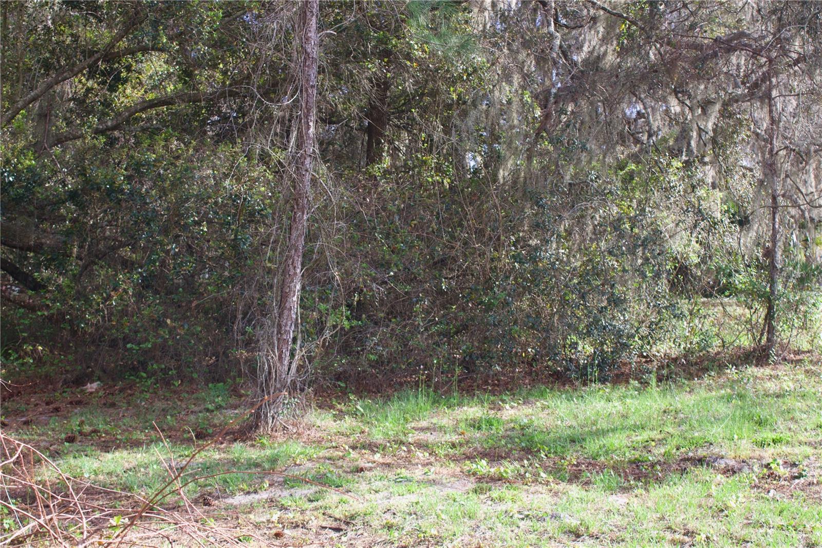 SILENT RIDGE DR #47, TAVARES, FL — photo 42