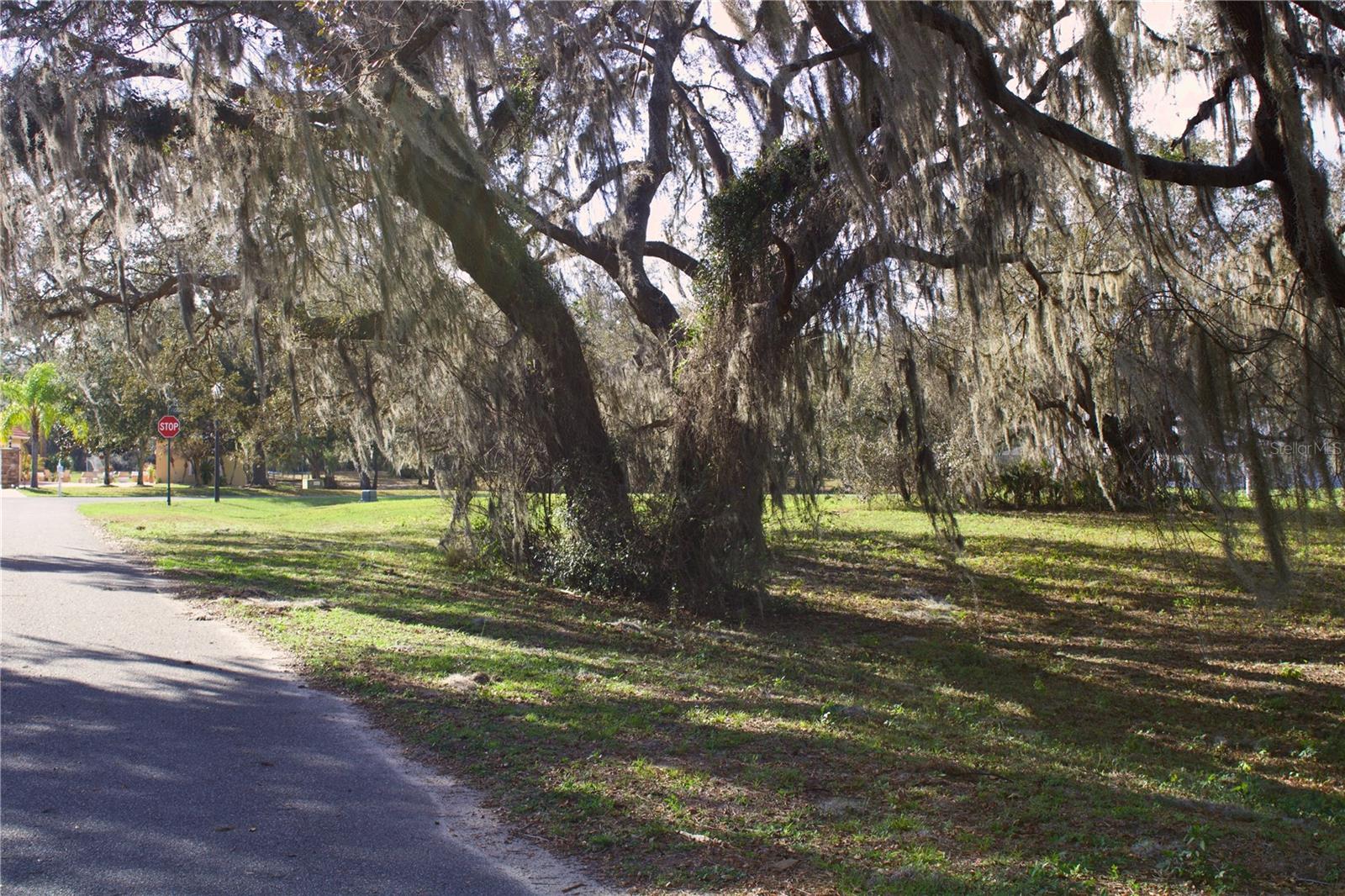 SILENT RIDGE DR #47, TAVARES, FL — photo 43