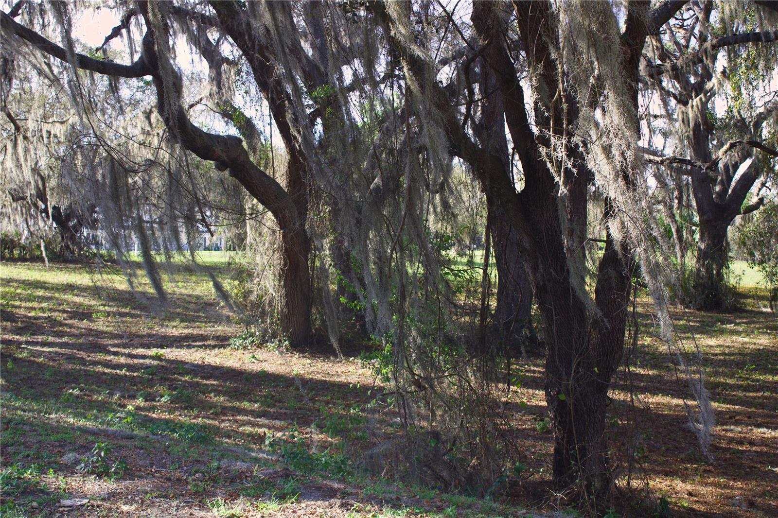 SILENT RIDGE DR #47, TAVARES, FL — photo 46