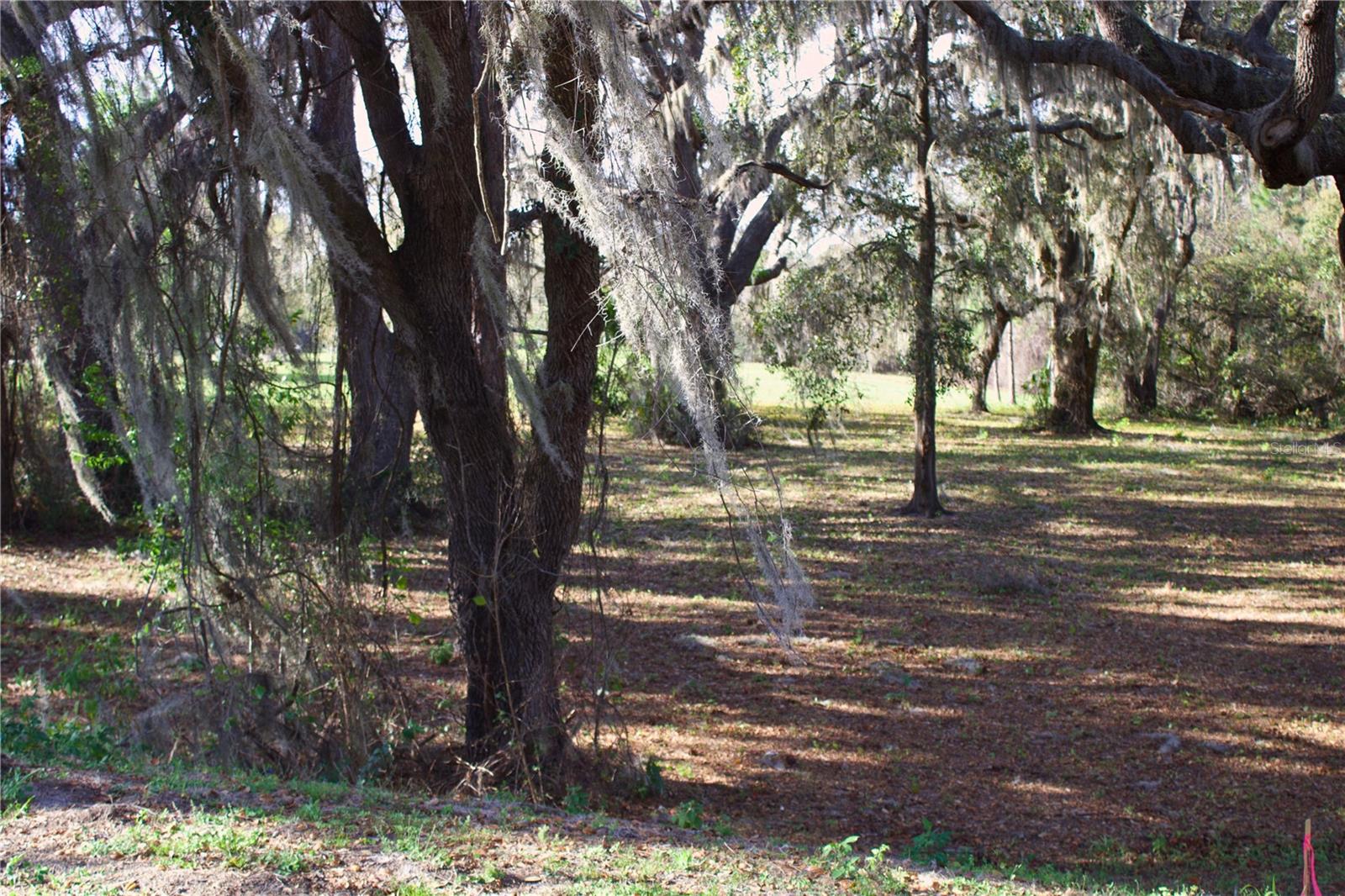 SILENT RIDGE DR #47, TAVARES, FL — photo 47