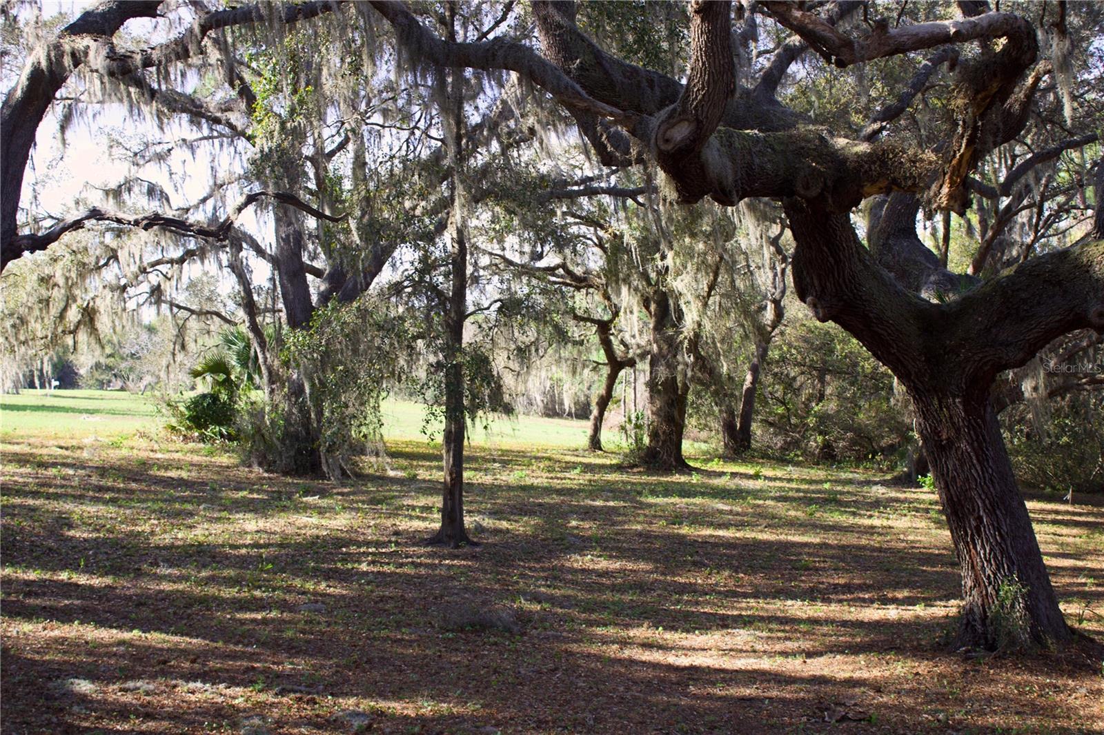 SILENT RIDGE DR #47, TAVARES, FL — photo 54