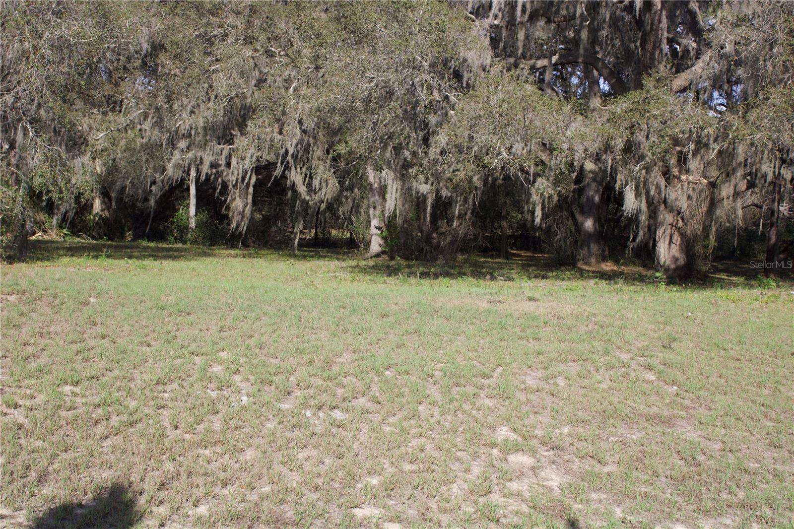 SILENT RIDGE DR #47, TAVARES, FL — photo 68
