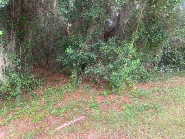 , GROVELAND, FL — photo 4