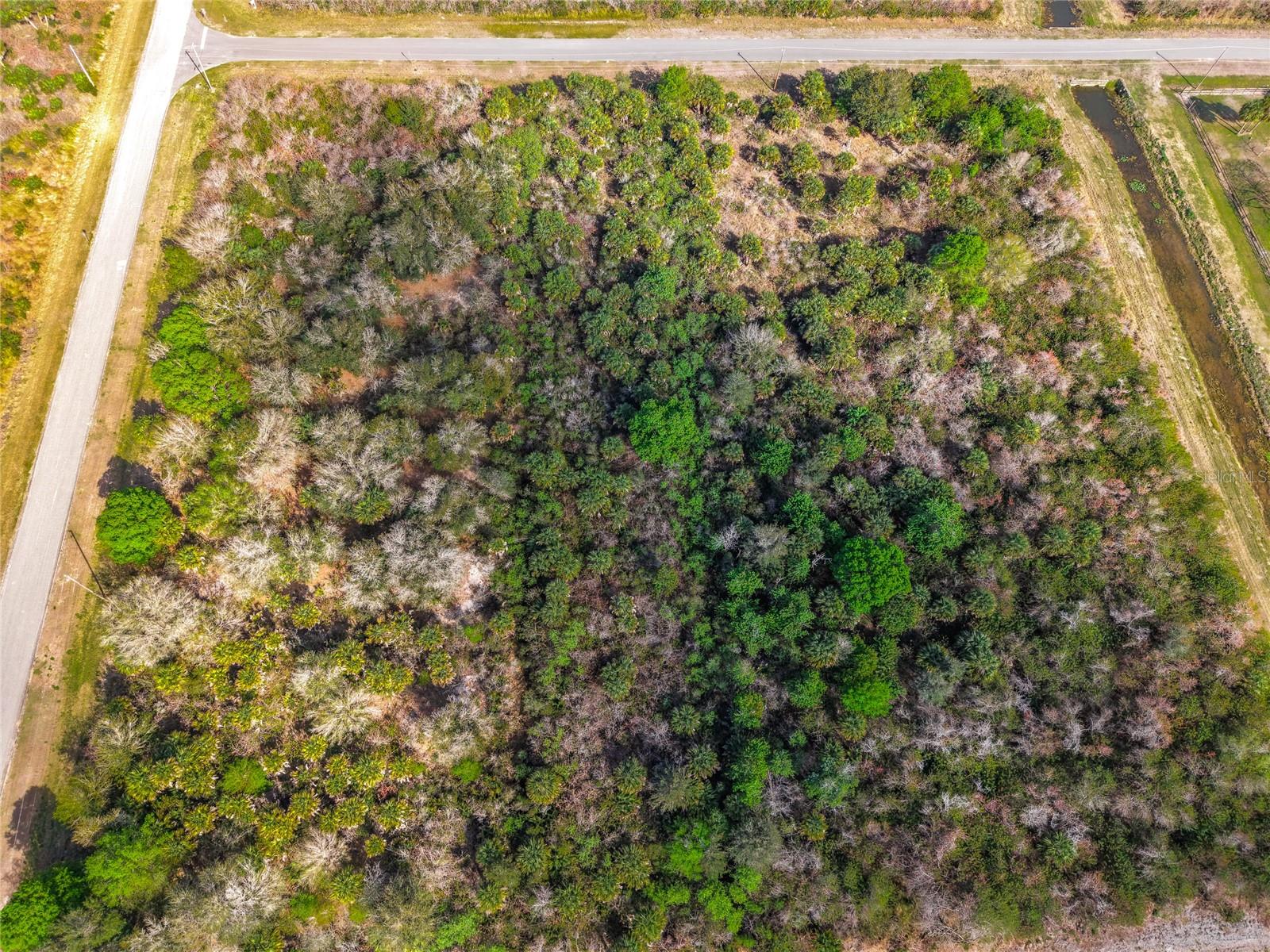 , PALM BAY, FL — photo 21
