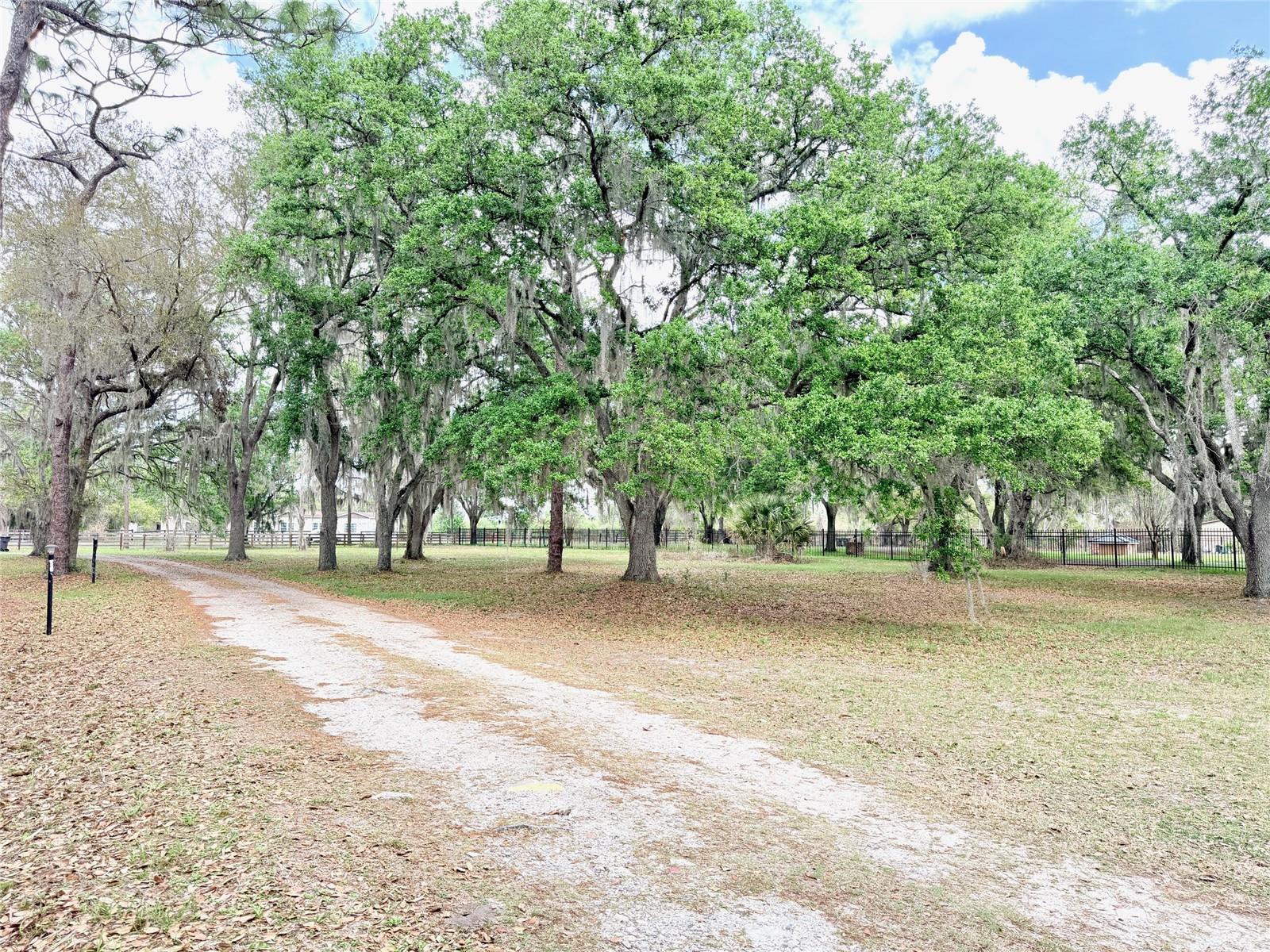 7001 W DORMANY RD, PLANT CITY, FL — photo 14