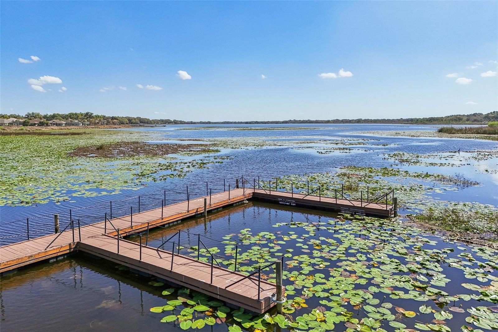 10144 LAKE MIONA WAY, OXFORD, FL — photo 43