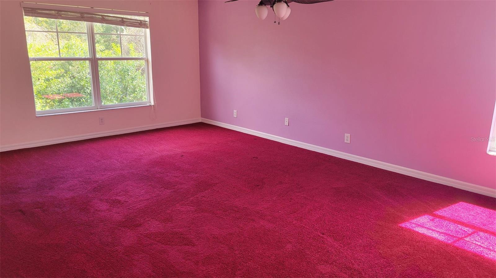 1443 HILLVIEW LN, TARPON SPRINGS, FL — photo 27