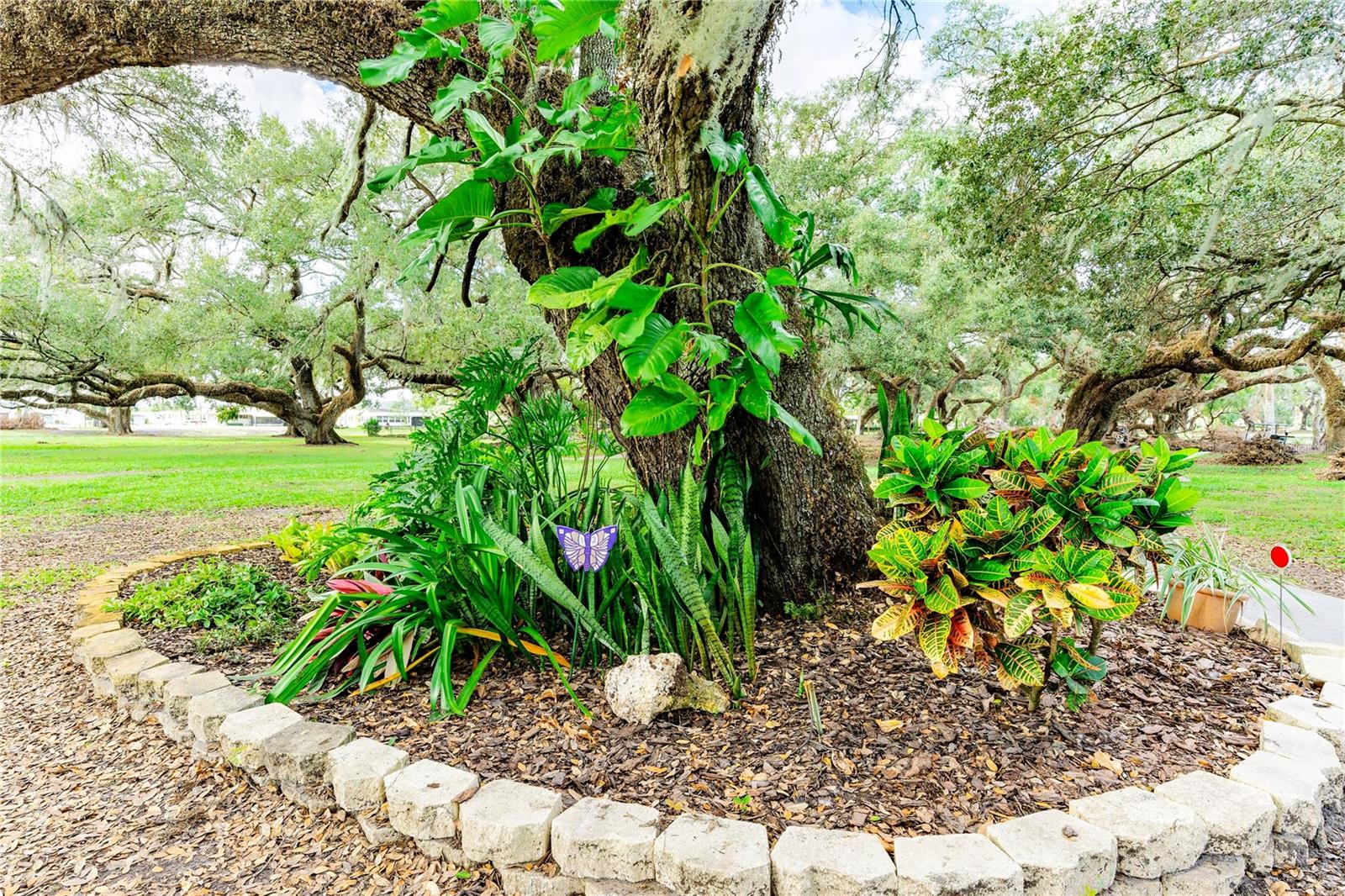 5250 DEAN DAIRY RD, ZEPHYRHILLS, FL — photo 57