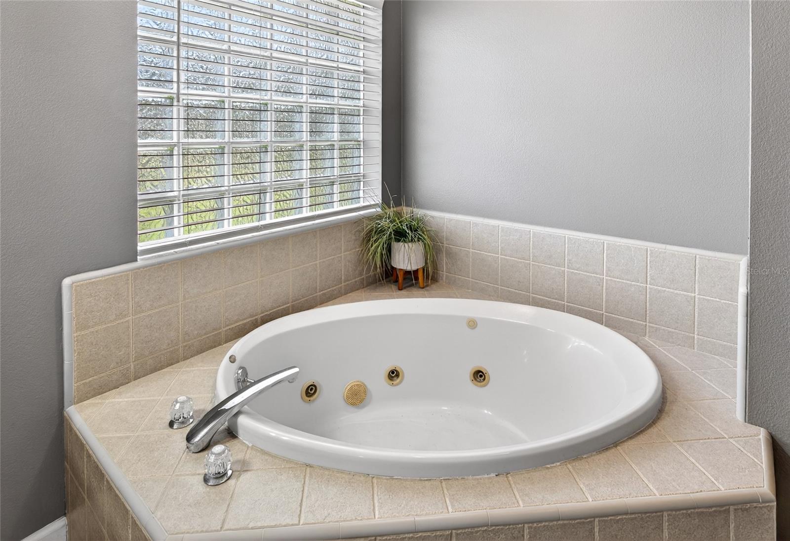 22301 CORONADO SOMERSET DR, SORRENTO, FL — photo 42