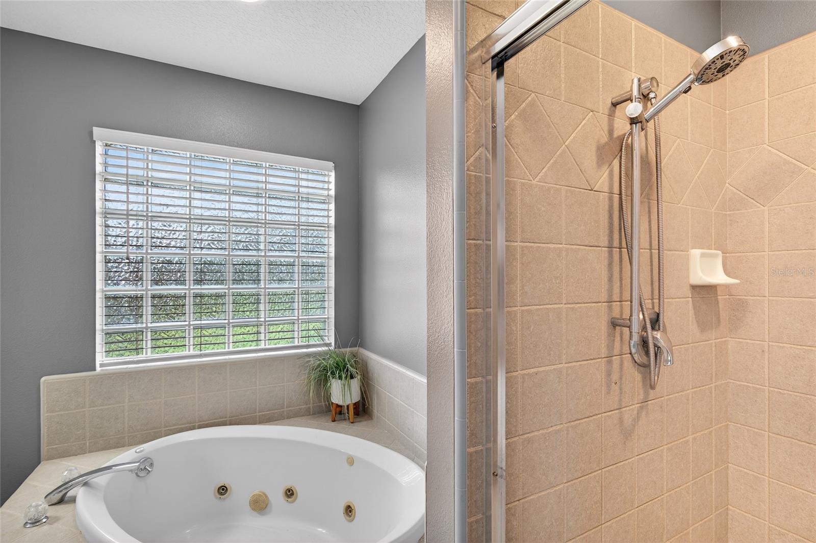 22301 CORONADO SOMERSET DR, SORRENTO, FL — photo 43