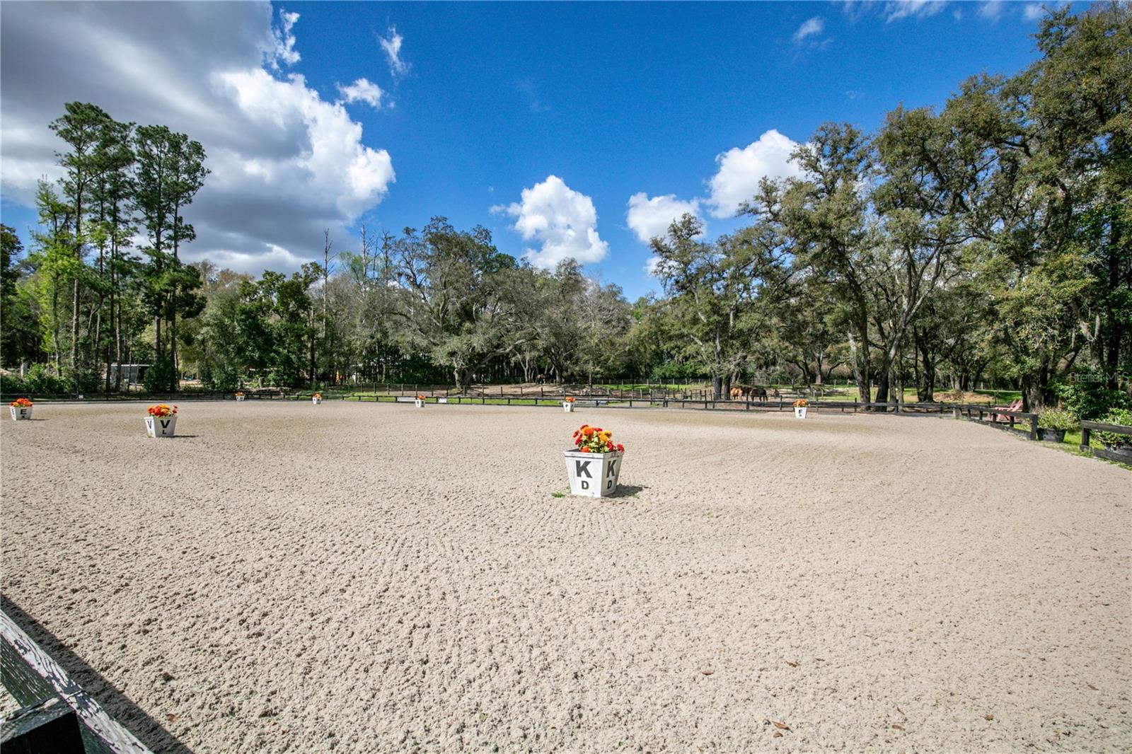 22301 CORONADO SOMERSET DR, SORRENTO, FL — photo 116