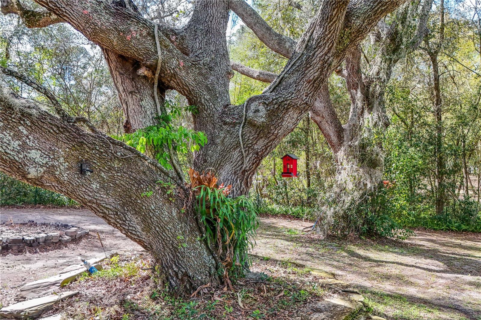 22301 CORONADO SOMERSET DR, SORRENTO, FL — photo 130
