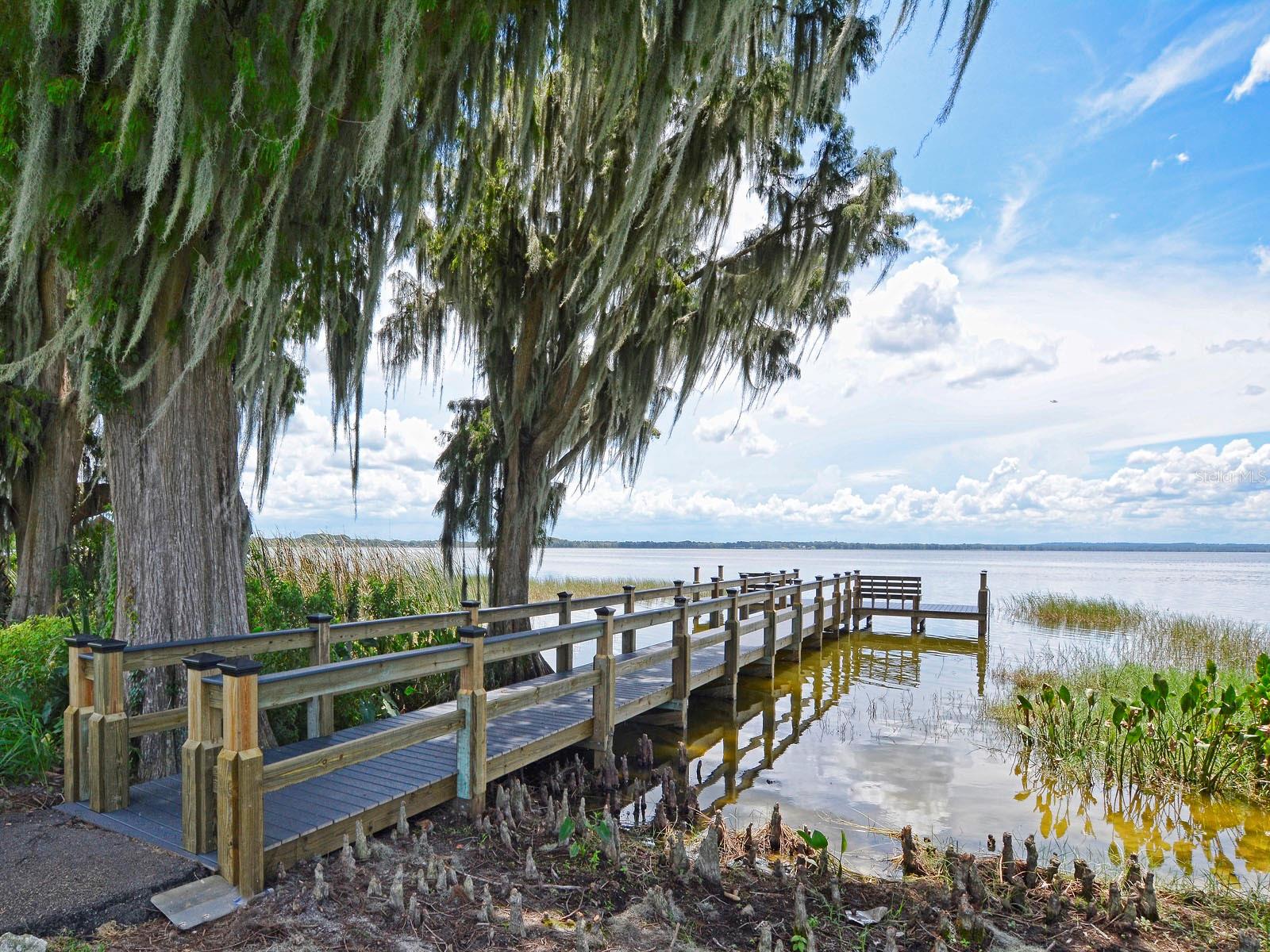 5245 CHINA SEA DR, TAVARES, FL — photo 73
