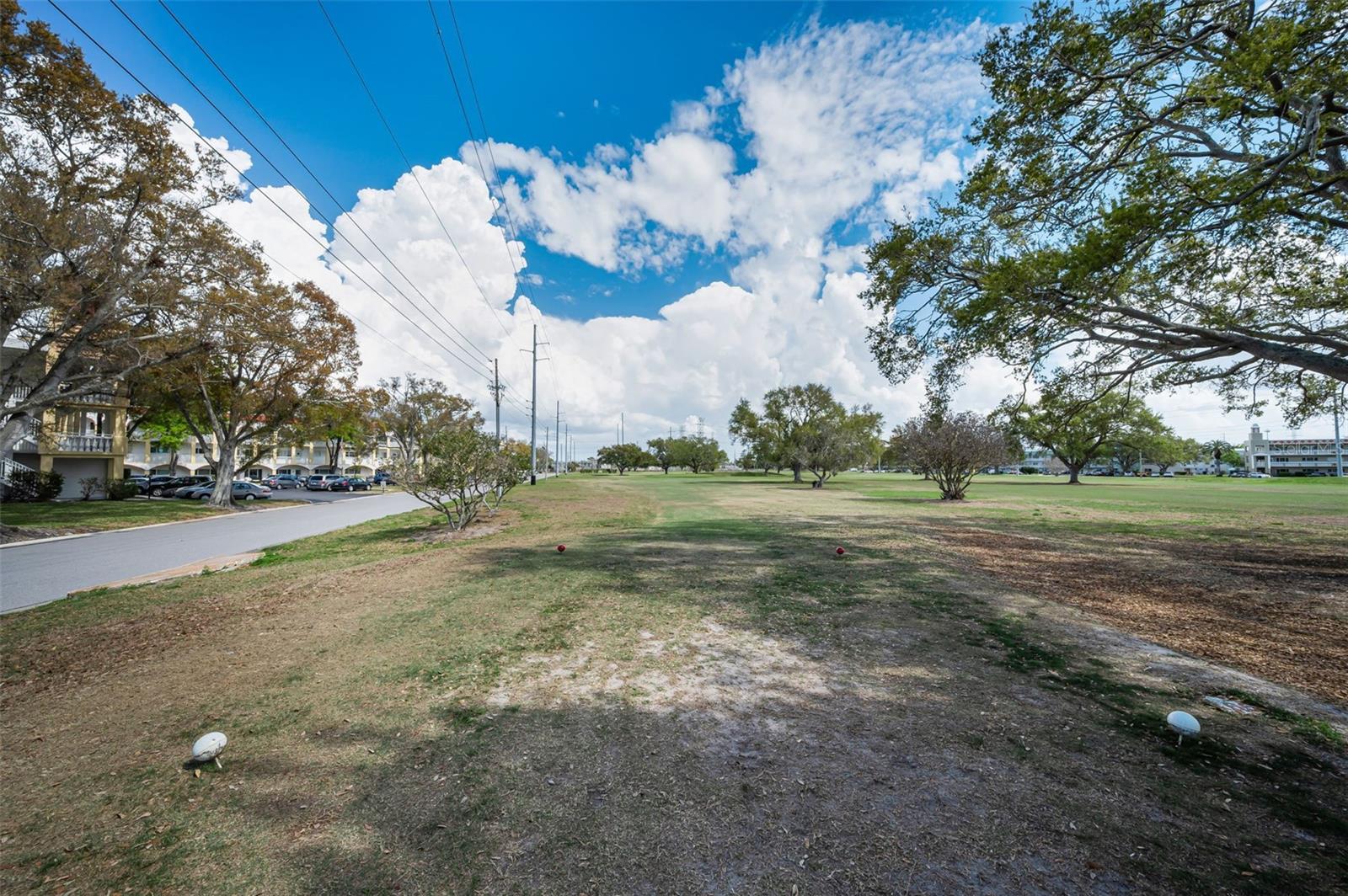2404 FLORENTINE WAY #20, CLEARWATER, FL — photo 100