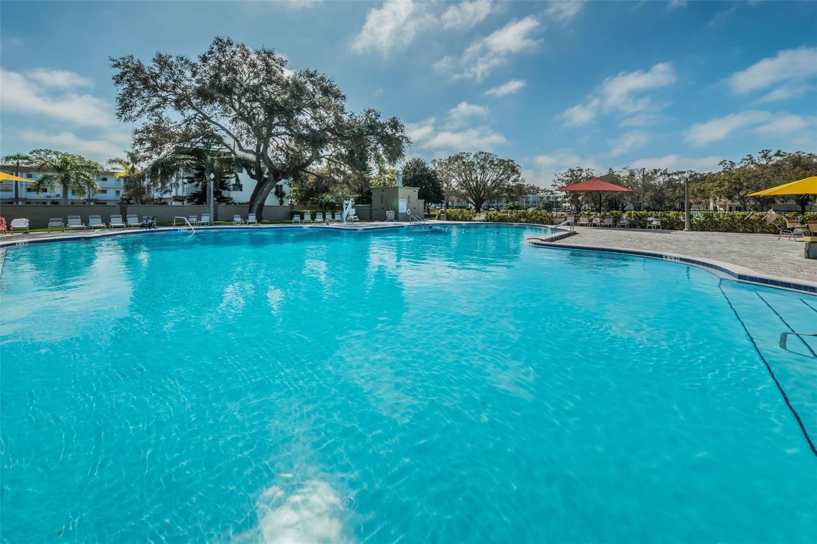 2404 FLORENTINE WAY #20, CLEARWATER, FL — photo 65