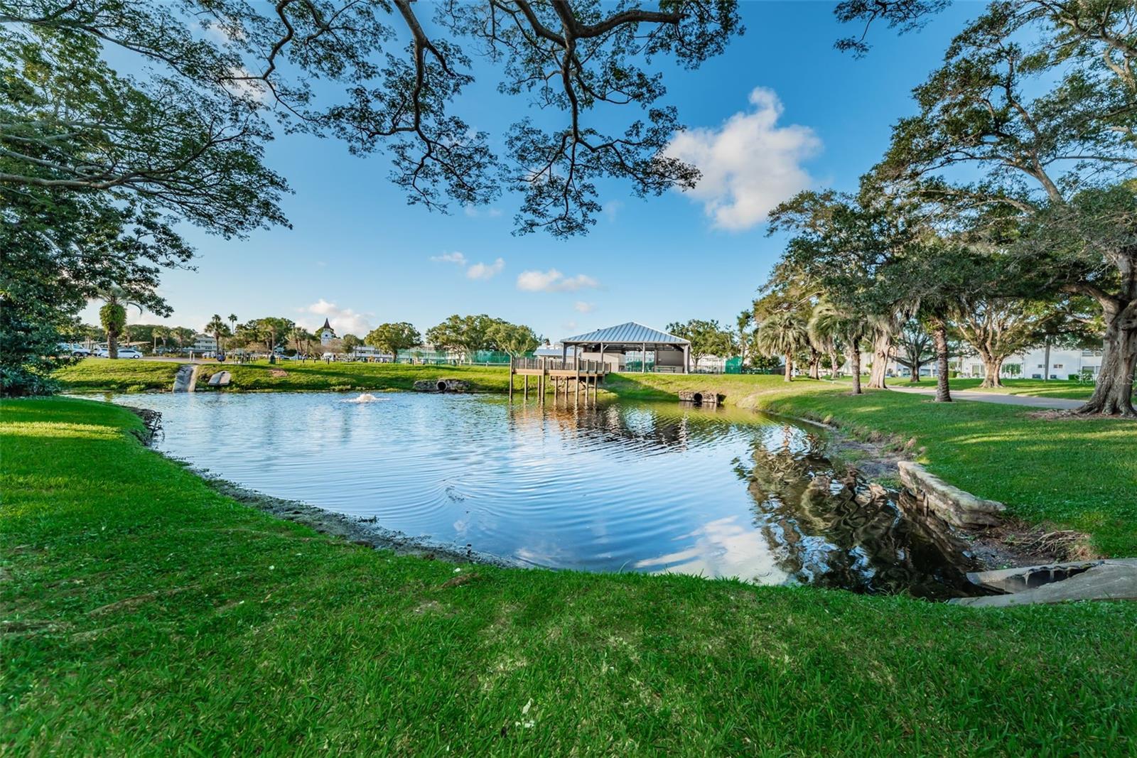 2404 FLORENTINE WAY #20, CLEARWATER, FL — photo 88