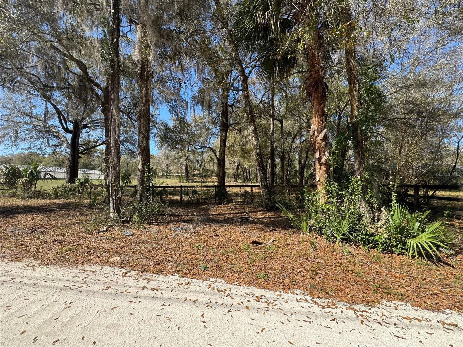 1065 S MASSACHUSETTS AVE, DELAND, FL — photo 9