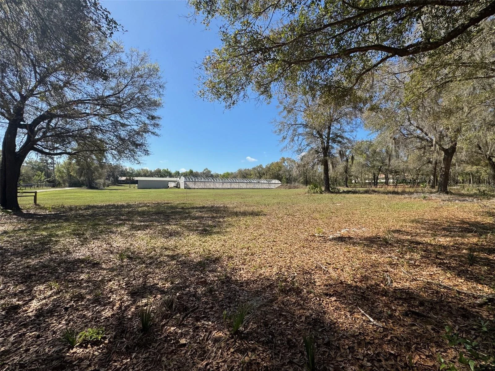 1065 S MASSACHUSETTS AVE, DELAND, FL — photo 10