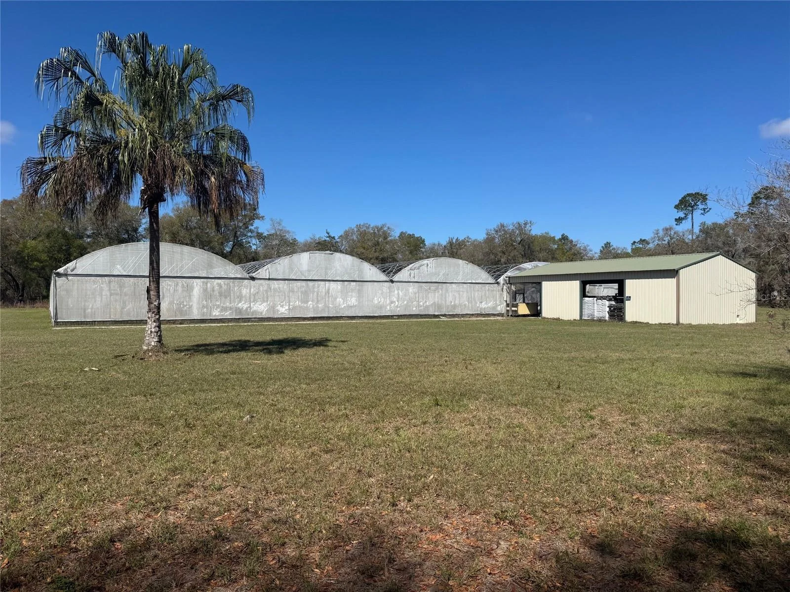 1065 S MASSACHUSETTS AVE, DELAND, FL — photo 11