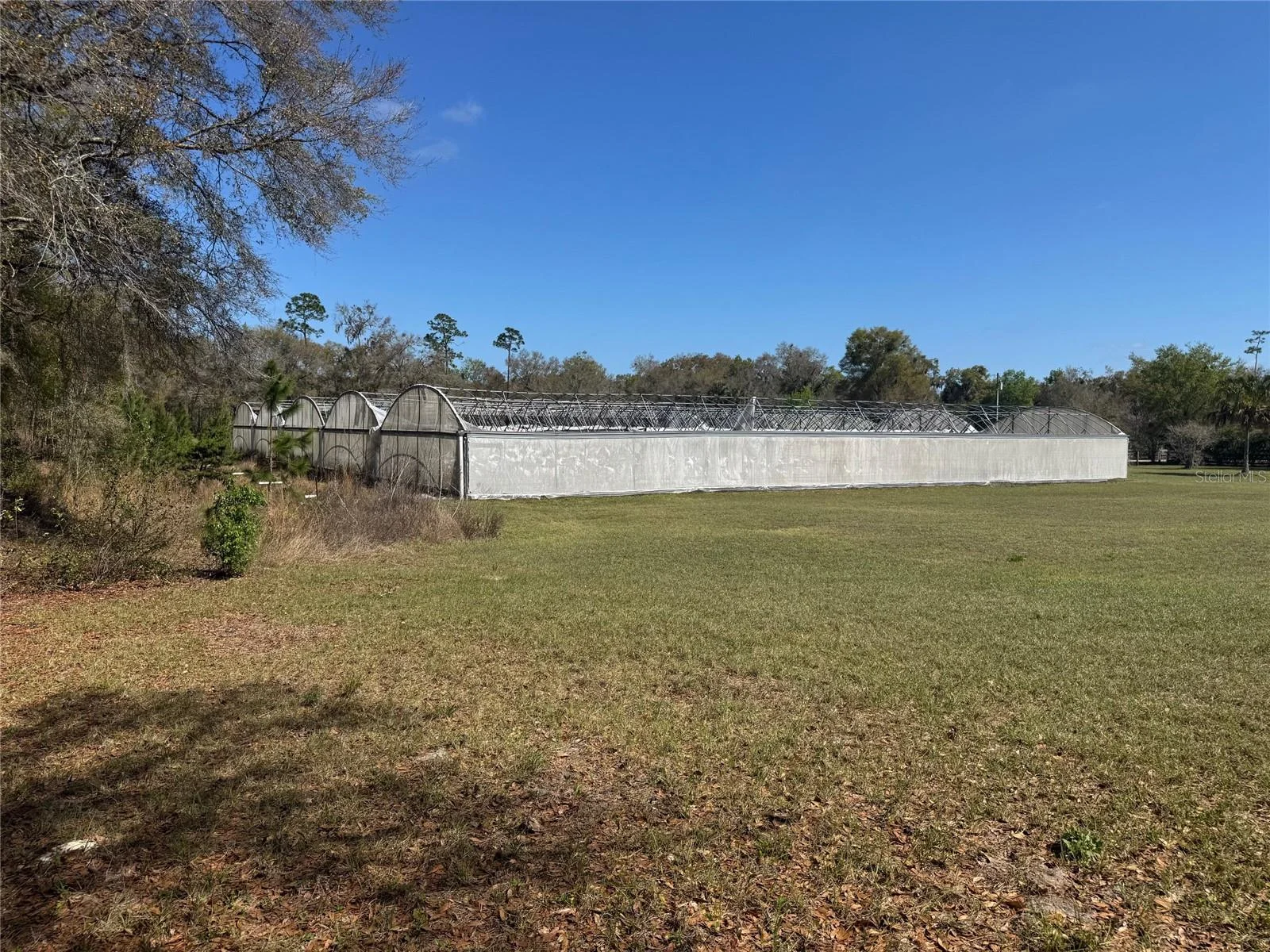 1065 S MASSACHUSETTS AVE, DELAND, FL — photo 14