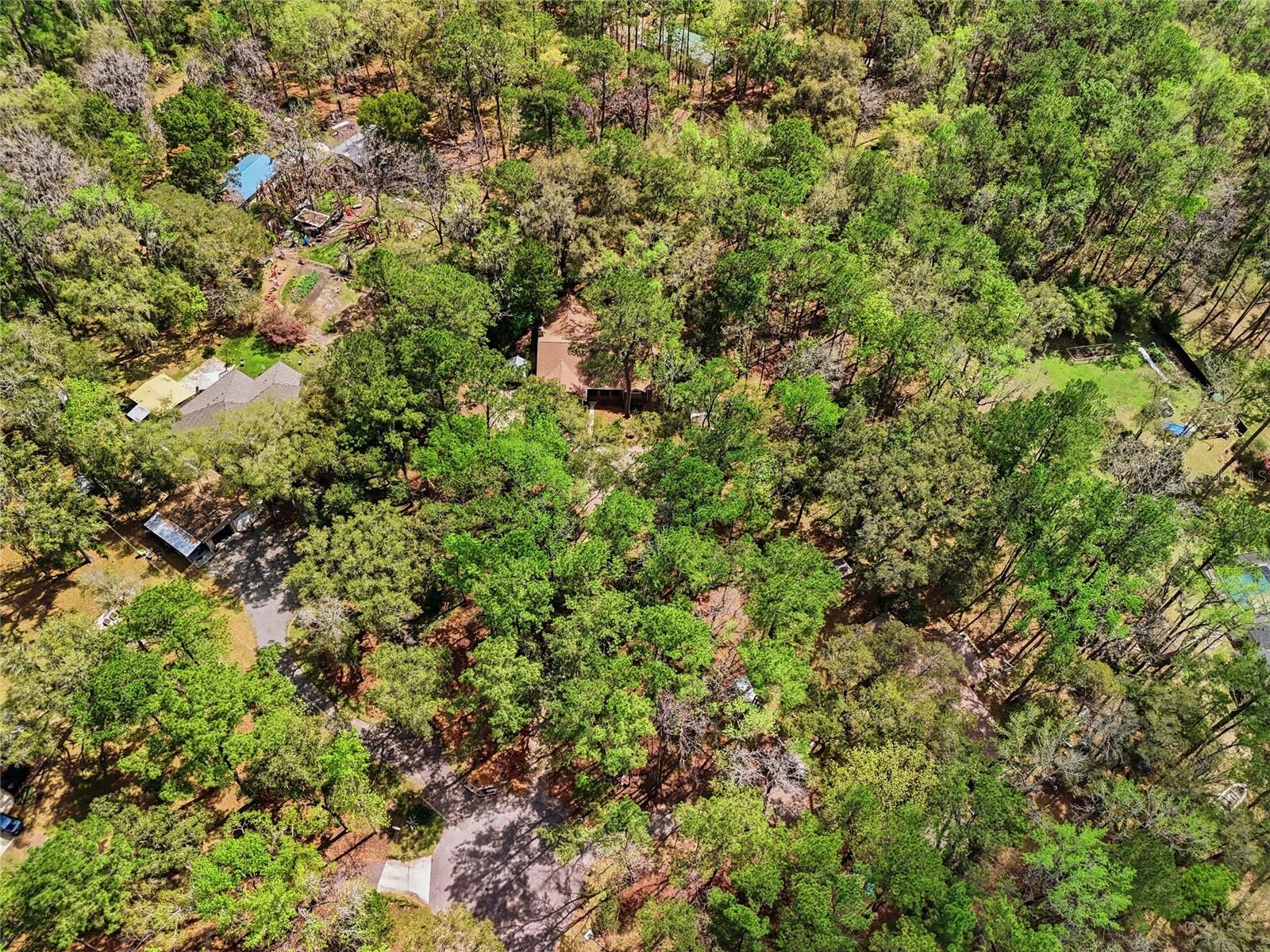 19513 NW 240TH LN, HIGH SPRINGS, FL — photo 33