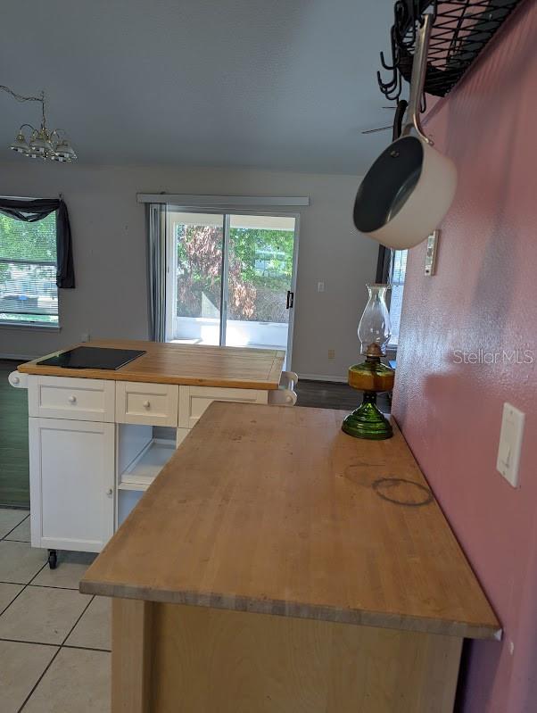108 TWIN LAKE CIR, UMATILLA, FL — photo 43