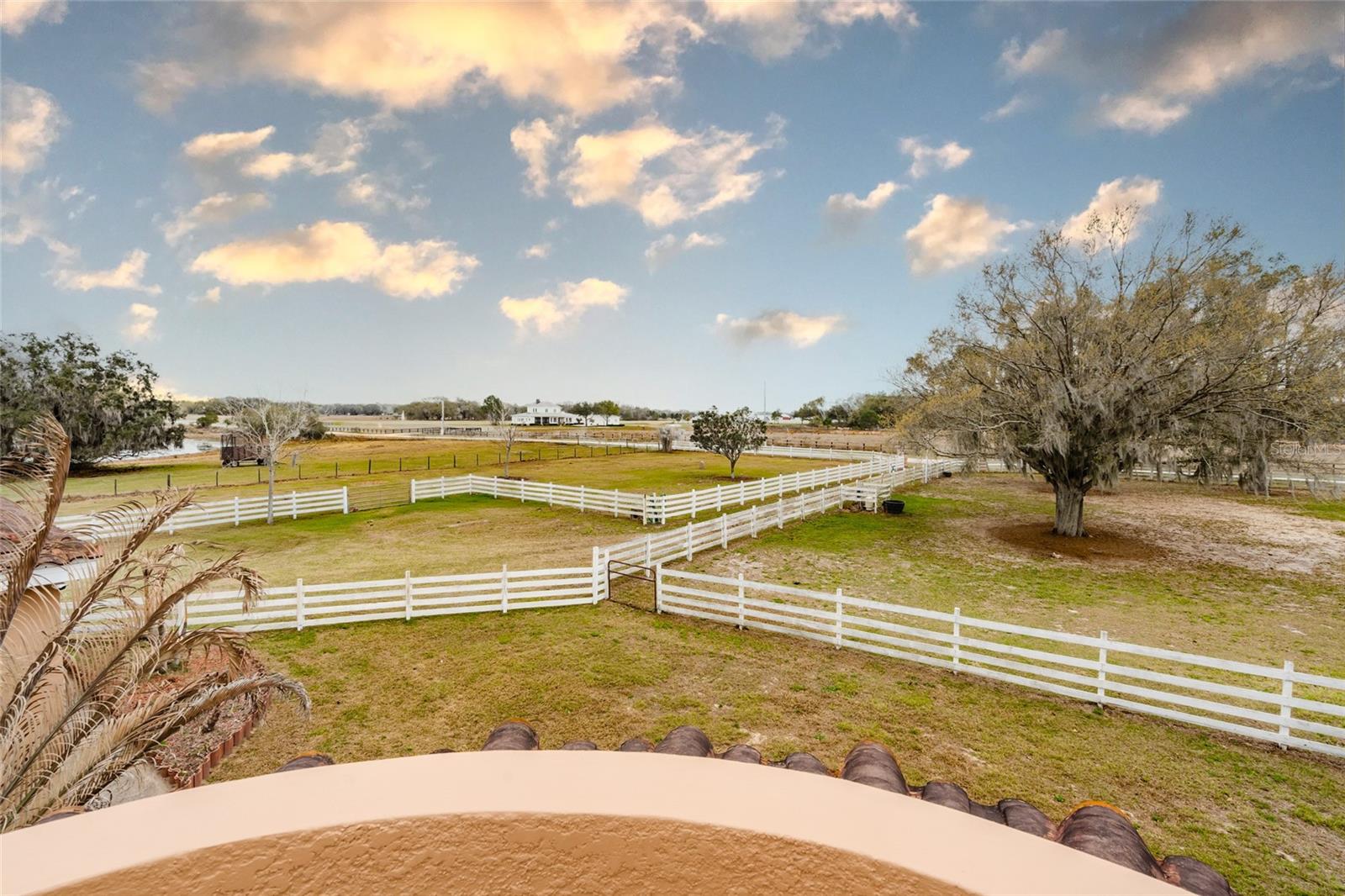 4015 INDIGO RD, GROVELAND, FL — photo 71