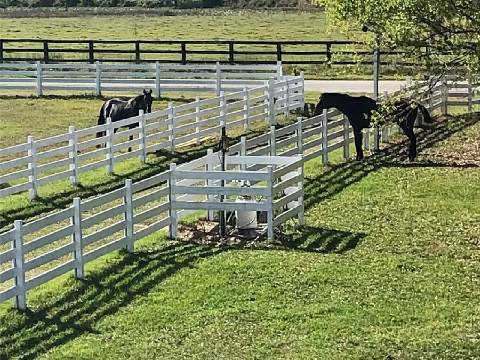 4015 INDIGO RD, GROVELAND, FL — photo 83