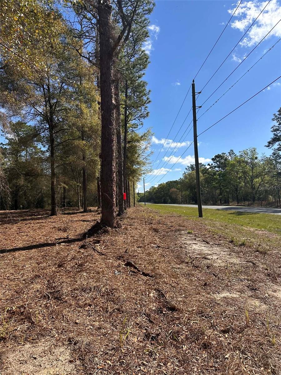 0 W HWY 40, OCALA, FL — photo 8