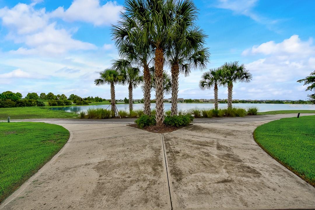 6262 GOLDCOAST AVE, APOLLO BEACH, FL — photo 49
