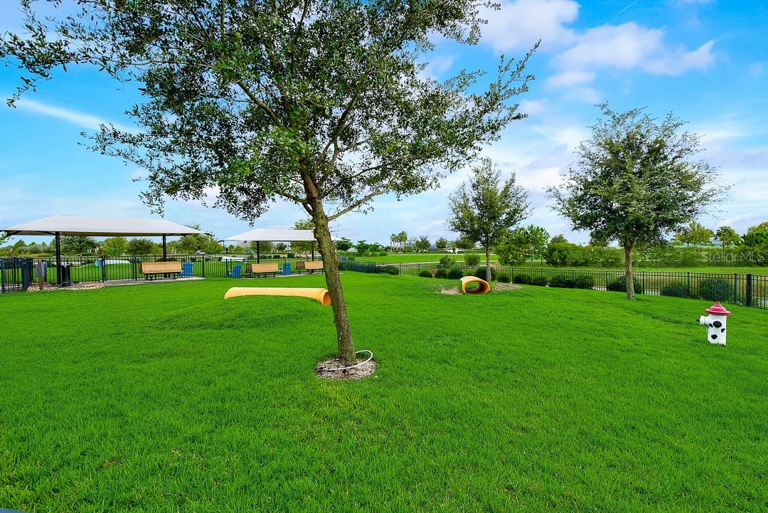 6262 GOLDCOAST AVE, APOLLO BEACH, FL — photo 53