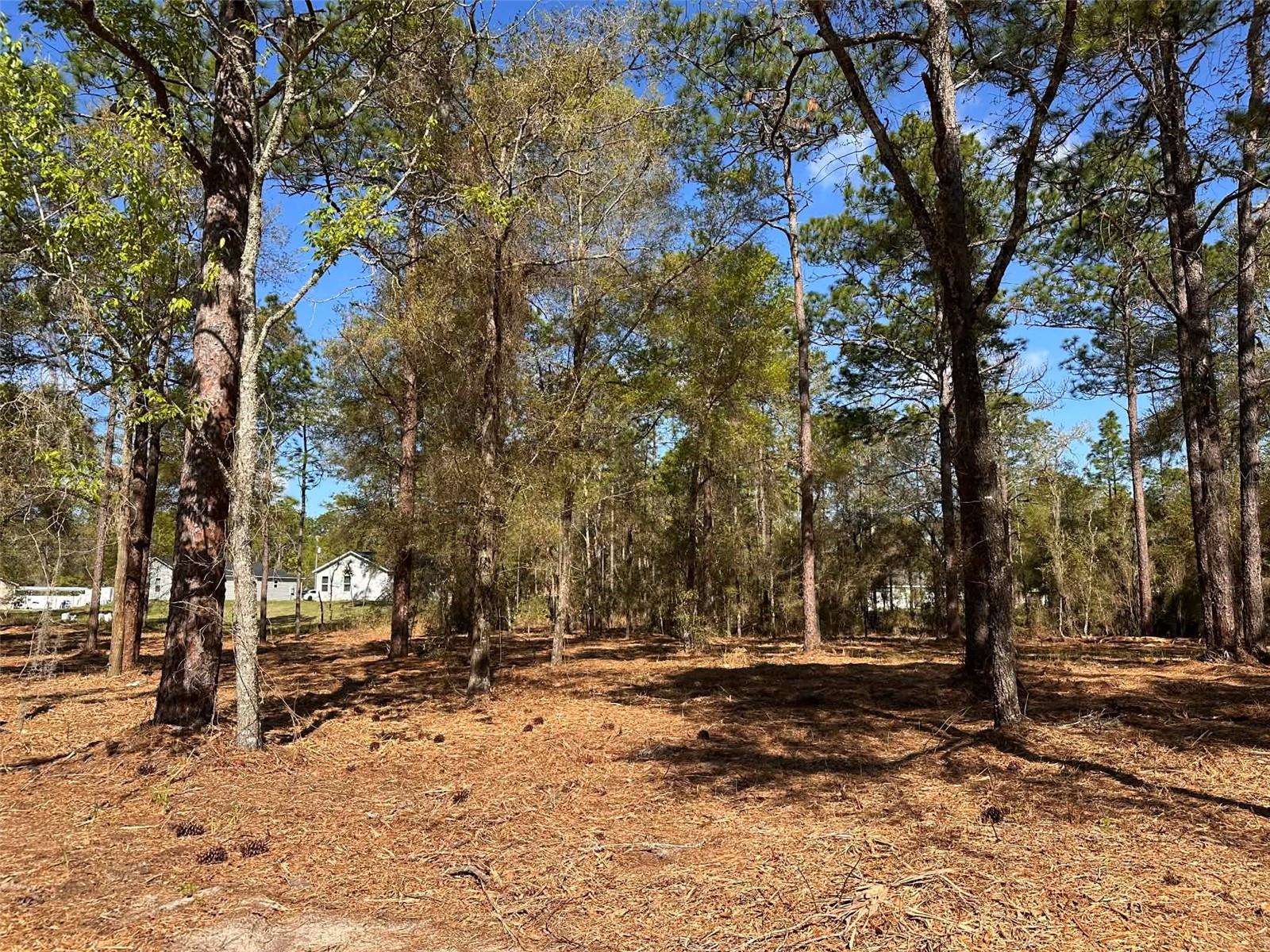 0 W HWY 40, OCALA, FL — photo 4
