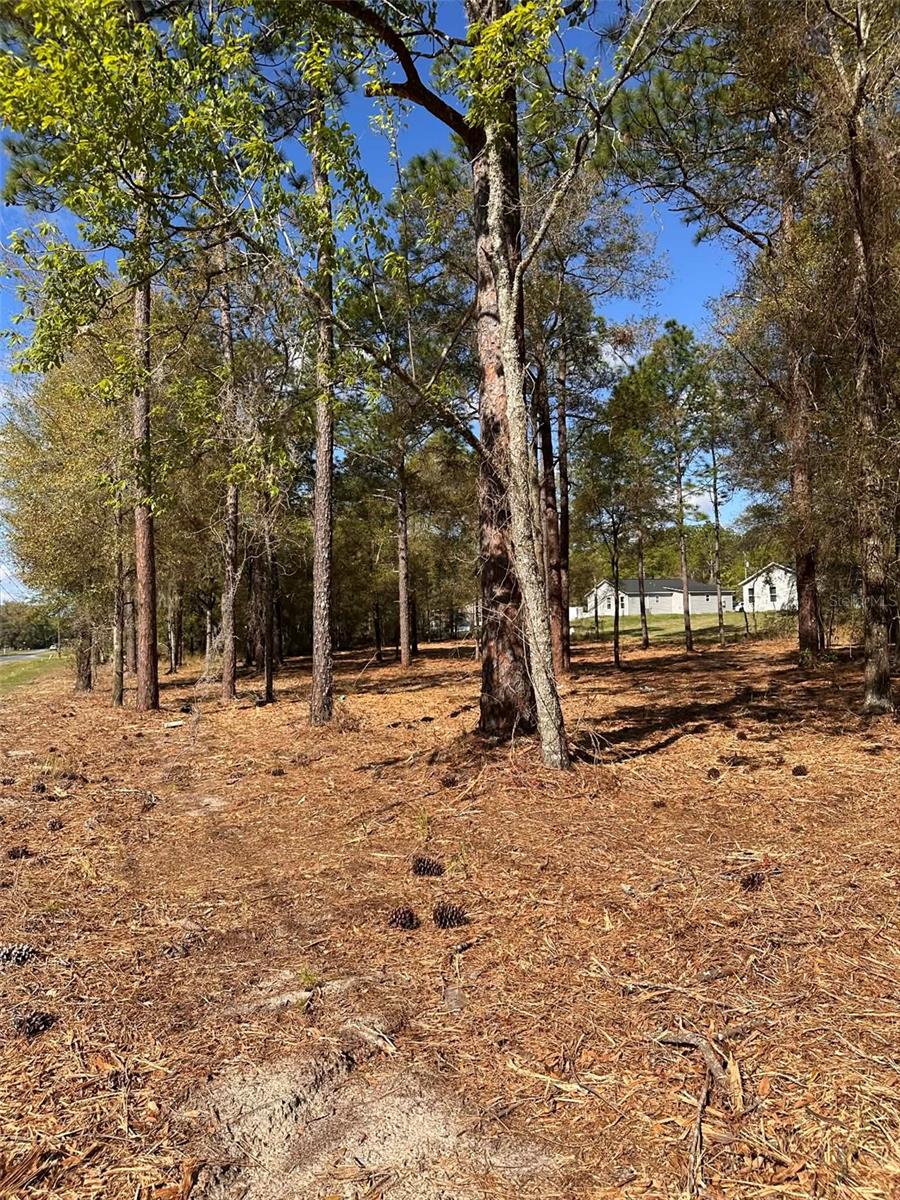 0 W HWY 40, OCALA, FL — photo 7