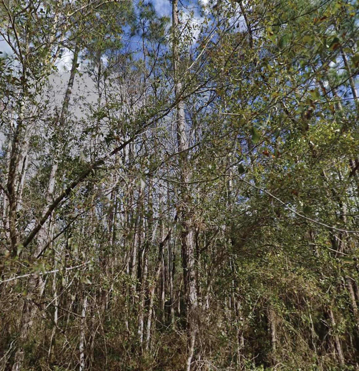 SE 3RD ST, PALATKA, FL