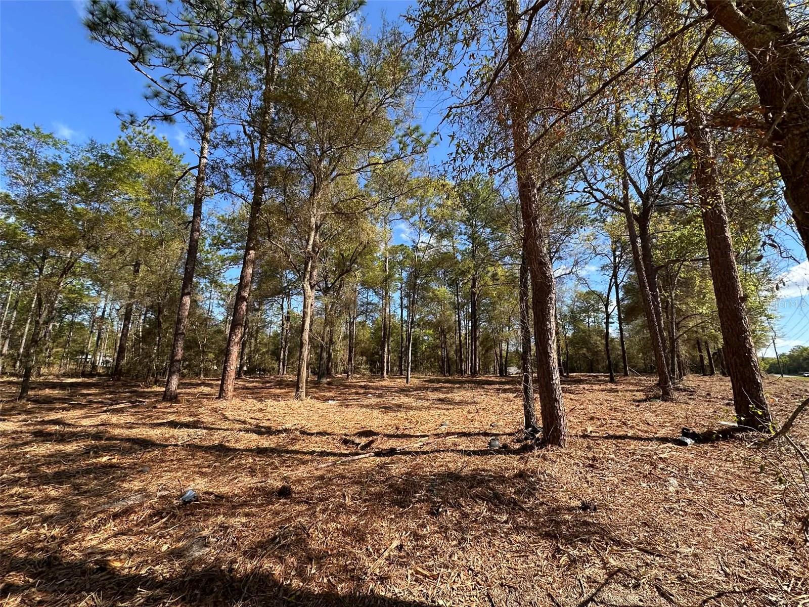0 W HWY 40, OCALA, FL — photo 2