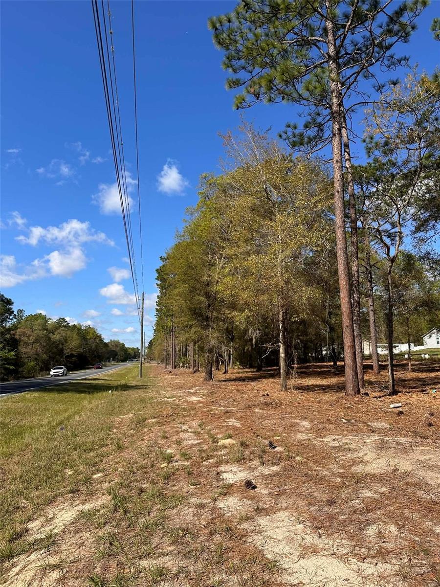 0 W HWY 40, OCALA, FL — photo 10
