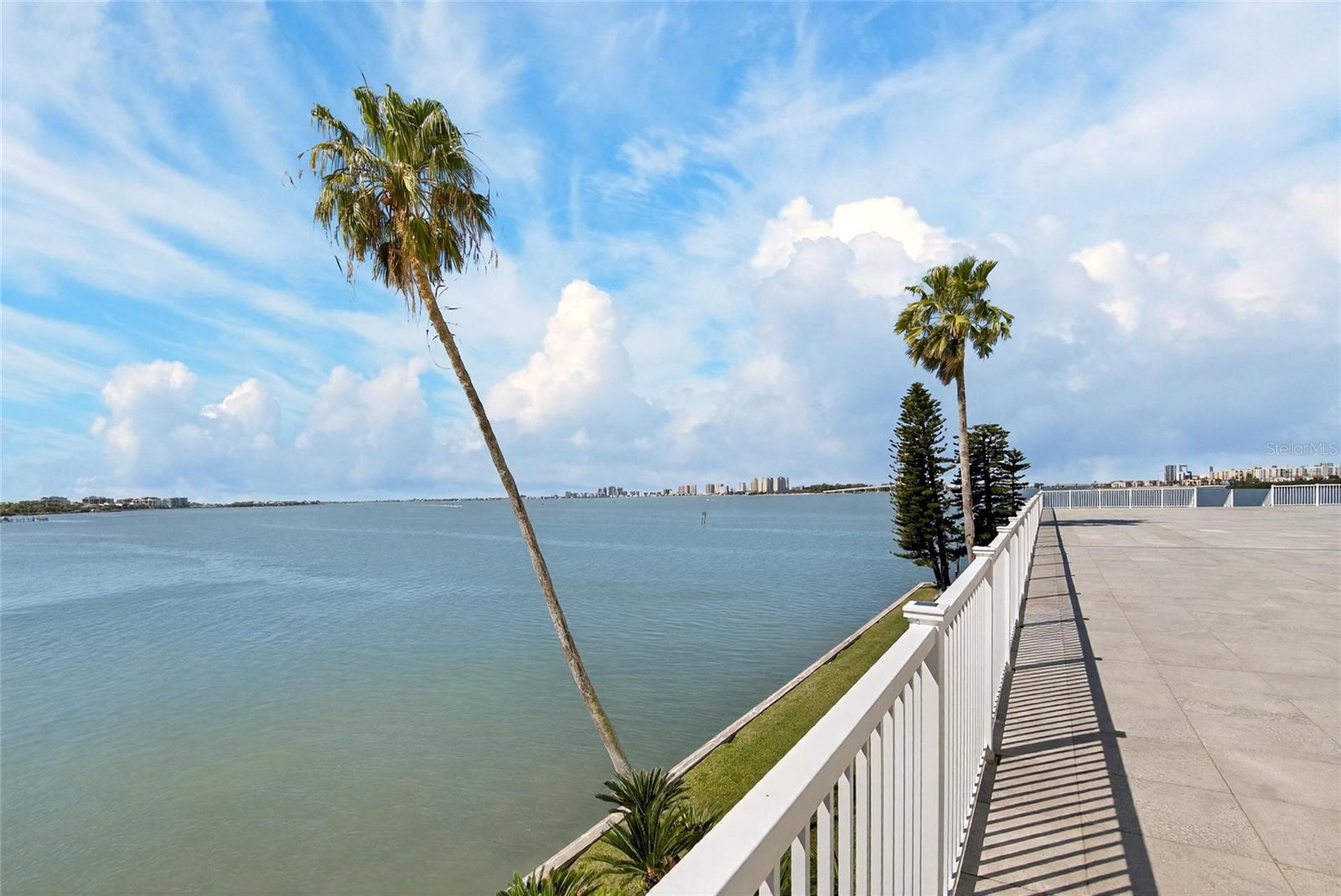 100 PIERCE ST #703, CLEARWATER, FL — photo 39