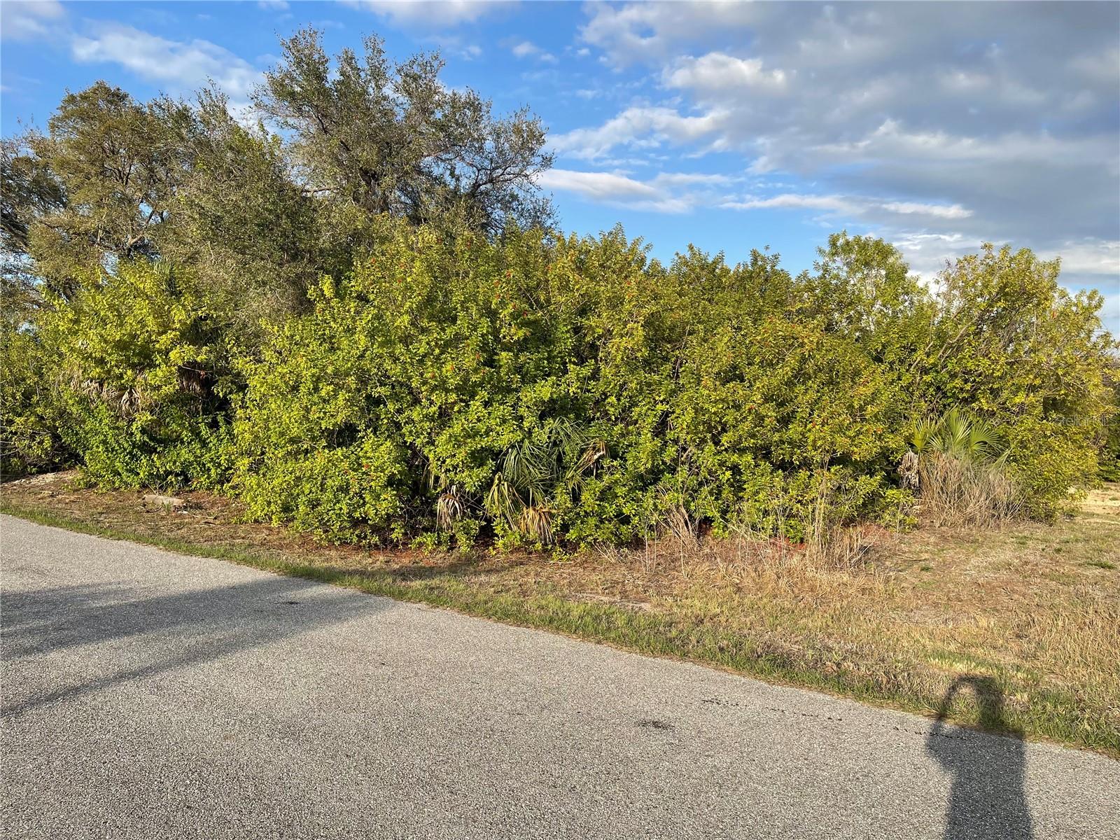 Lot #9 S LIPSCOMB ST, NORTH PORT, FL — photo 3