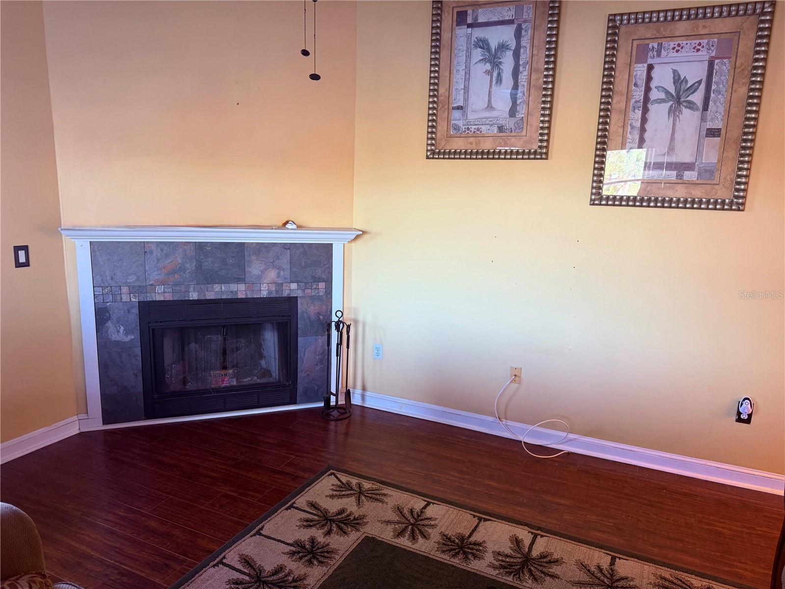 3338 FERNLEAF DR, HERNANDO BEACH, FL — photo 10