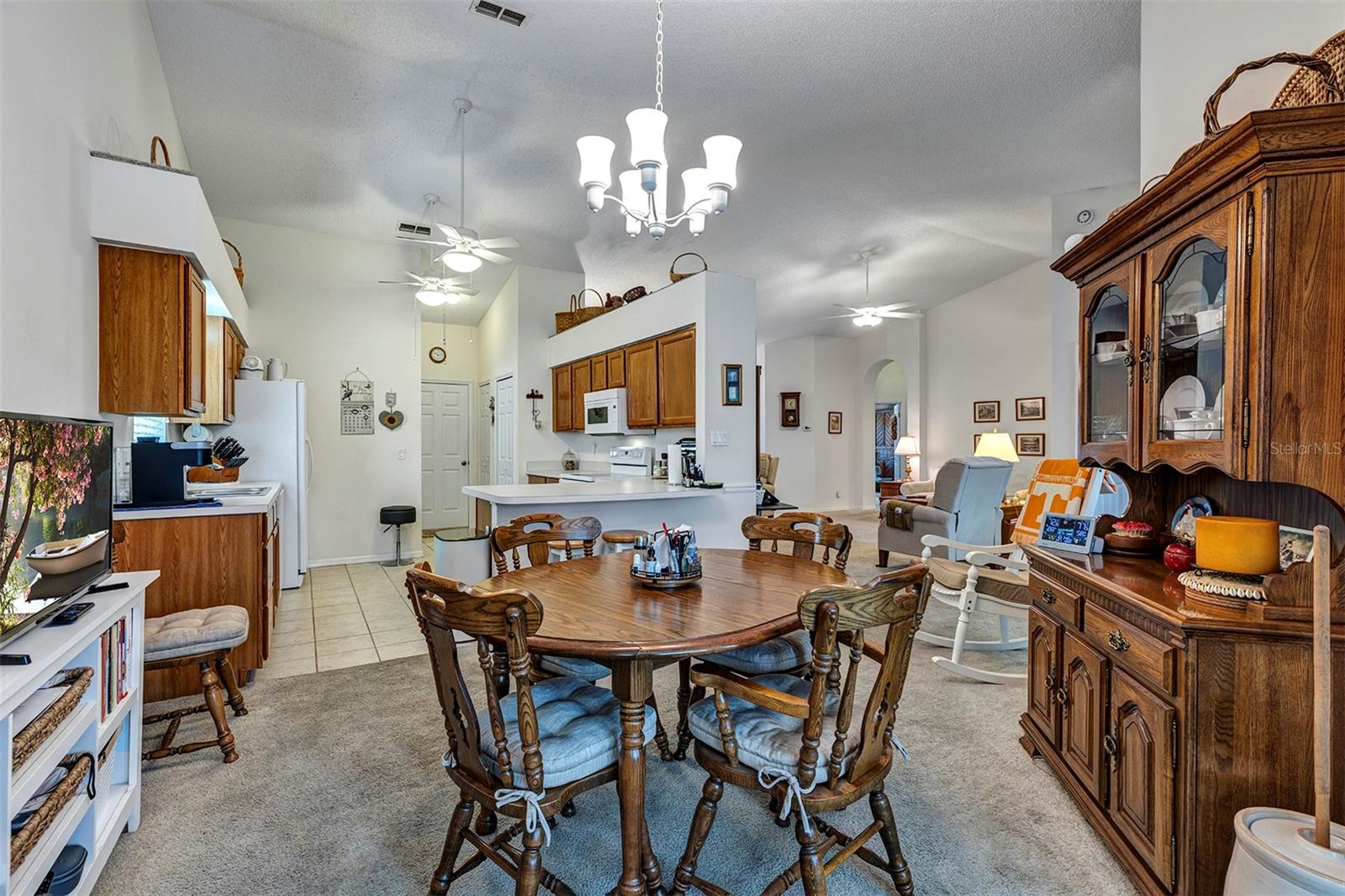 26035 OAKMOUNT DR, LEESBURG, FL — photo 26