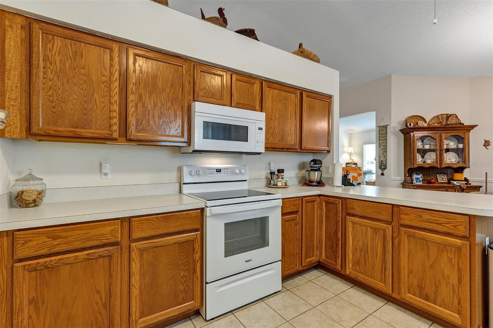 26035 OAKMOUNT DR, LEESBURG, FL — photo 35
