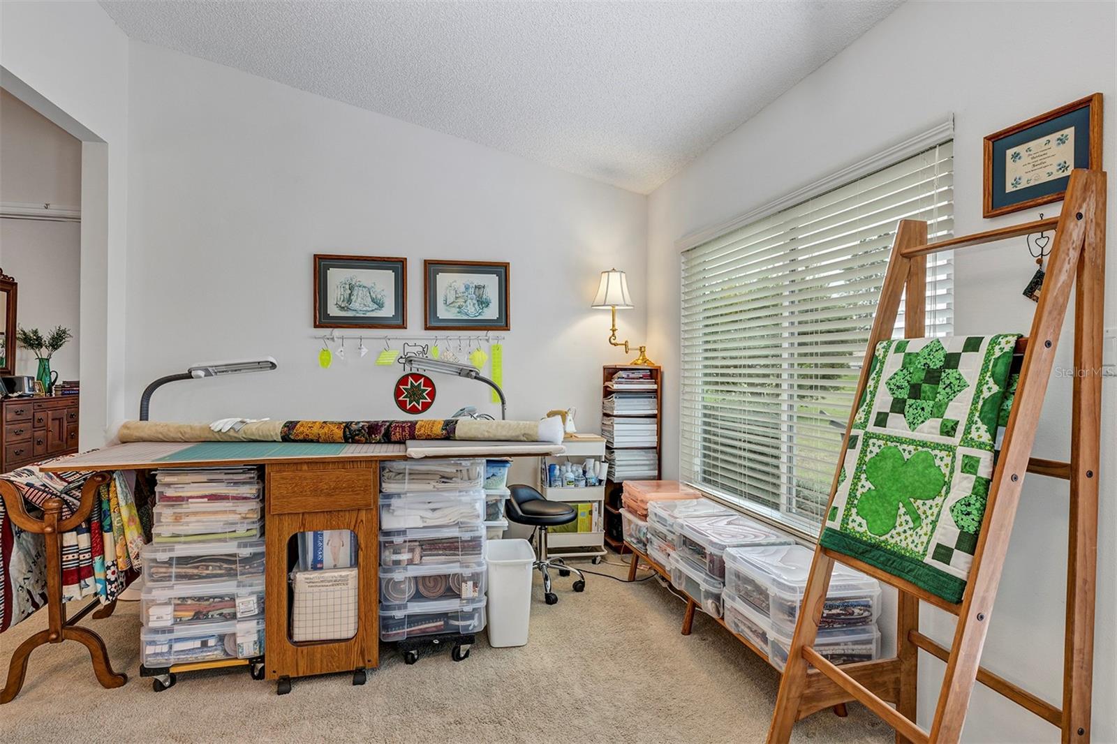 26035 OAKMOUNT DR, LEESBURG, FL — photo 44