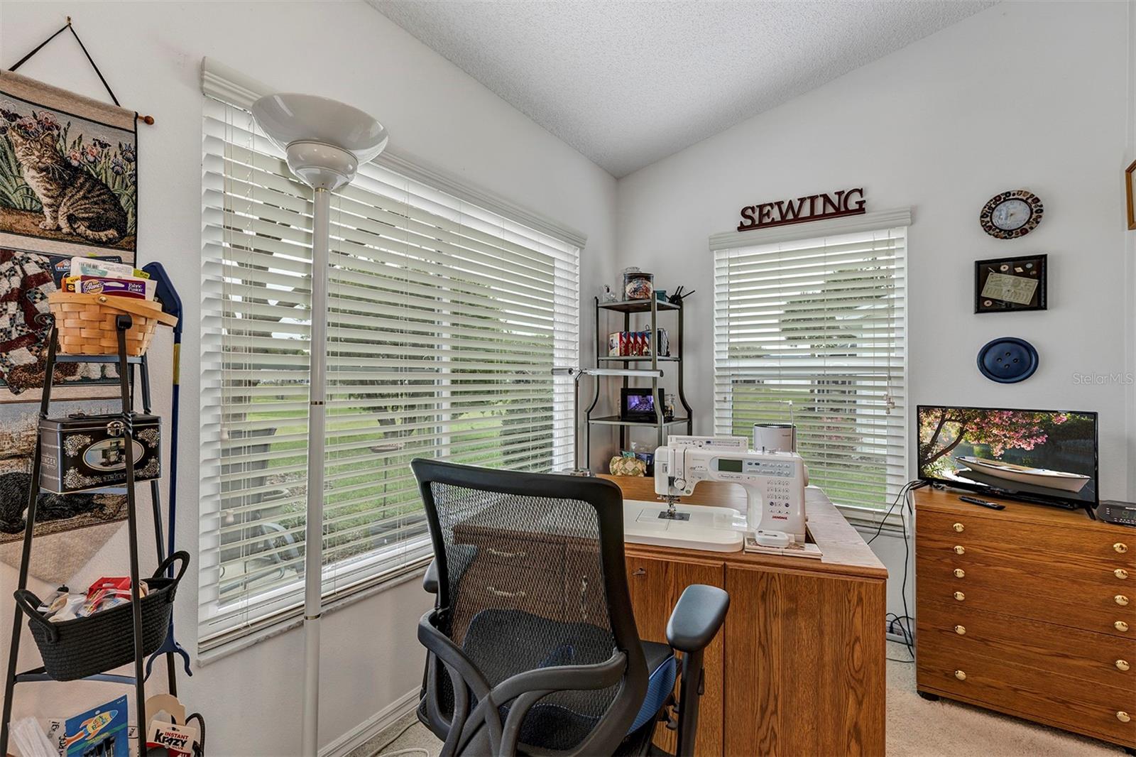 26035 OAKMOUNT DR, LEESBURG, FL — photo 47