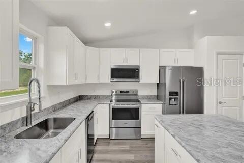 40091 OAKRIDGE DR, LADY LAKE, FL — photo 15