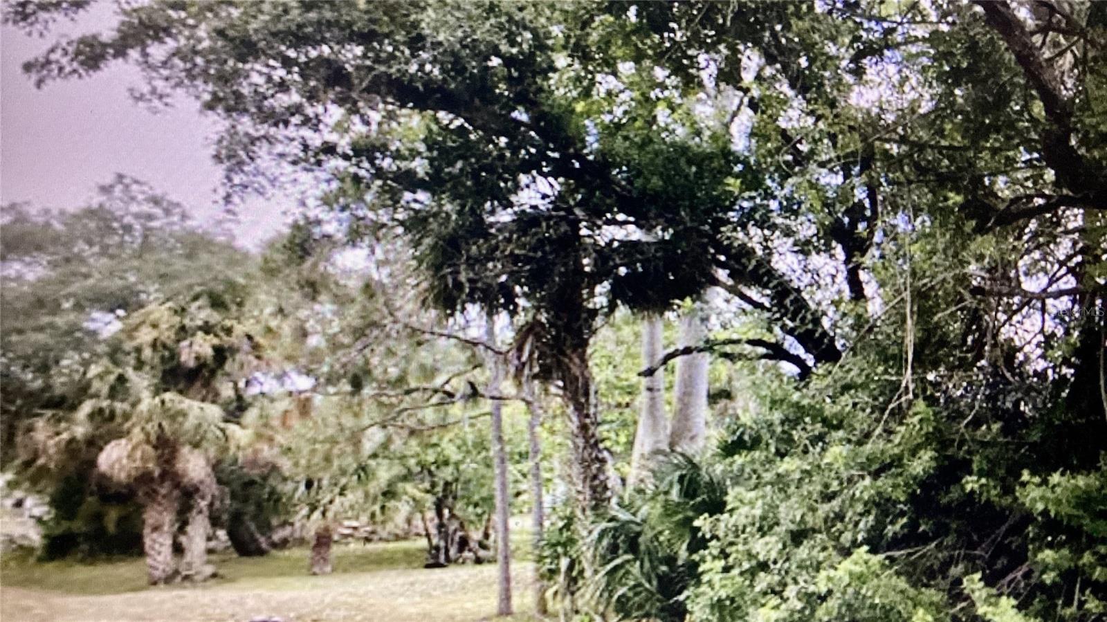 22552 MOROCCO AVE, PORT CHARLOTTE, FL — photo 3