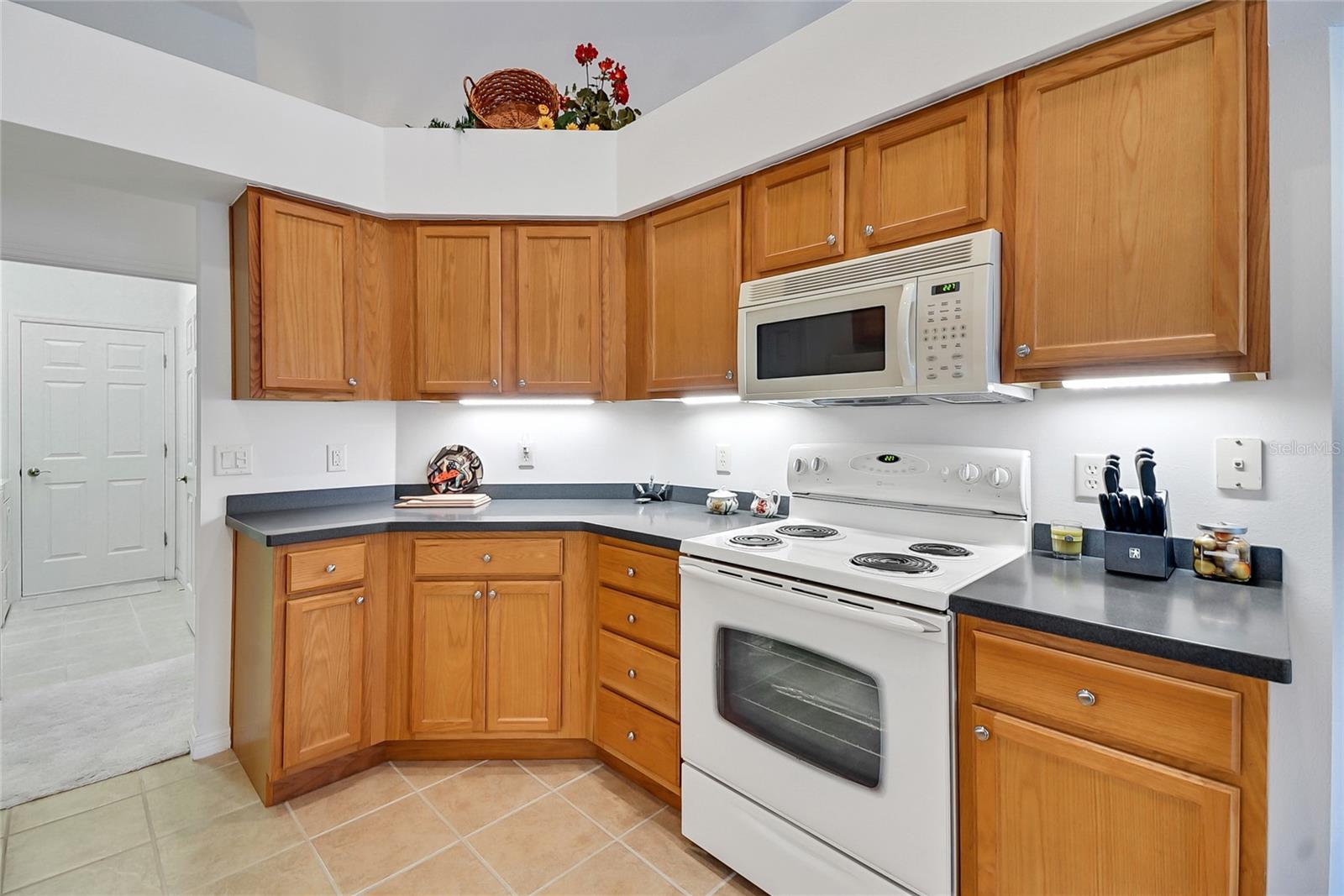 24128 ROBINWOOD ST, LEESBURG, FL — photo 46