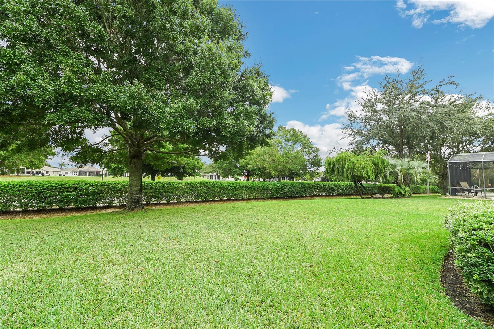 24128 ROBINWOOD ST, LEESBURG, FL — photo 106